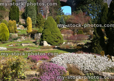 Stock image of beautiful rock garden with flowering heathers, dwarf conifers