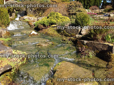 Stock image of cascading waterfall over rocks, running water, rockery garden, conifers