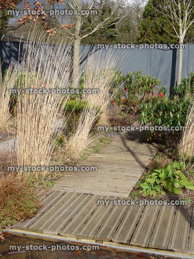 Stock image of garden with decking pathway, grasses and evergreen shrubs