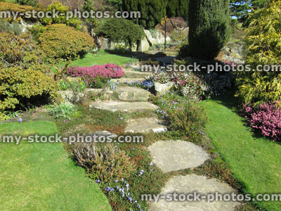 Stock image of stepping stones pathway, rockery garden with conifers, lawn