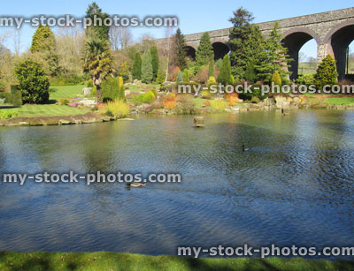Stock image of mill pond with rockery garden, stone viaduct bridge