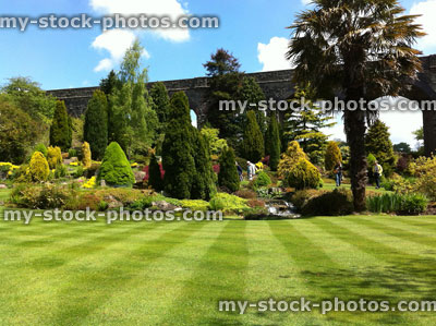 Stock image of manicured lawn stripes, exotic garden with palm tree