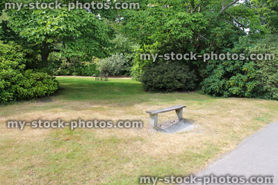 Stock image of dead grass on brown lawn, drought, hot dry summer weather