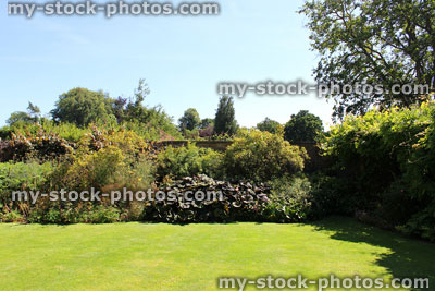 Stock image of walled garden border with herbaceous flowers, plants, shrubs, green lawn