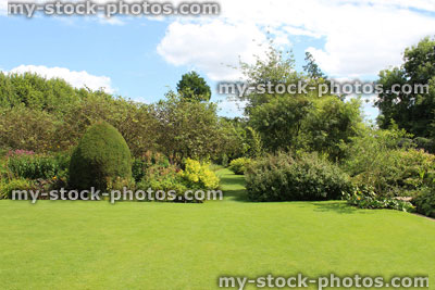 Stock image of garden lawn pathway with shrubs, herbaceous plants, flowers, trees