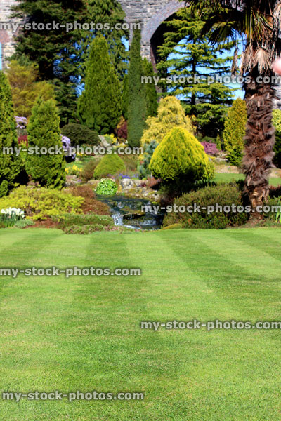 Stock image of freshly mowed grass in garden, with lawn stripes