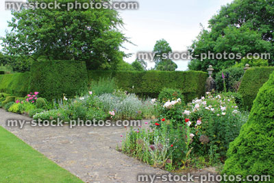 Stock image of formal garden, iron gate, yew hedge, herbaceous border, roses