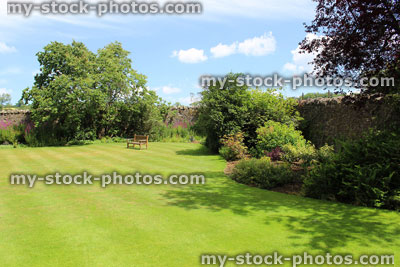 Stock image of fine green grass, mown garden lawn turf, flower border