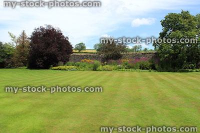Stock image of fine green grass, mown garden lawn turf, flower border