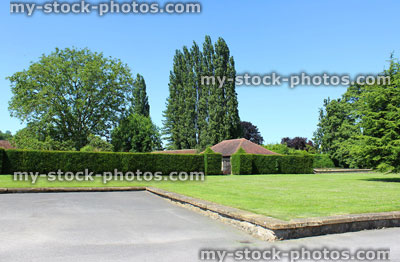 Stock image of tarmac driveway, raised garden lawn, Lombardy poplar trees