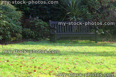 Stock image of green garden lawn grass in fall, autumn leaves, wooden bench
