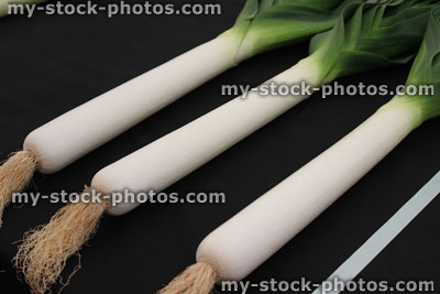 Stock image of prize winning giant leeks at agricultural show exhibition, plate