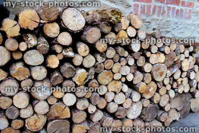 Stock image of pile of timber / chopped logs drying, firewood for wood burner