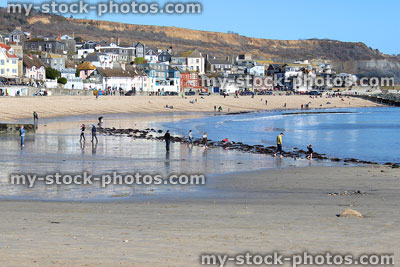 Stock image of seaside houses / shops lining beach at Lyme Regis