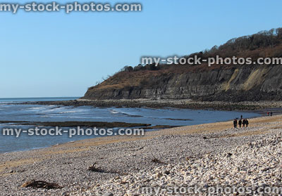 Stock image of limestone cliffs and pebble / fossil beach at Lyme Regis