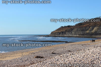 Stock image of Monmouth Beach and crumbling cliffs at Lyme Regis, England