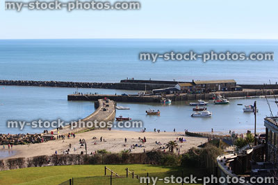 Stock image of harbour and cobb at Lyme Regis seaside, beach town