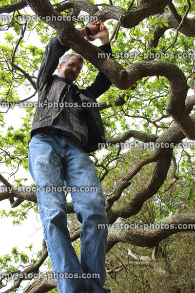 Stock image of handsome man climbing oak tree, standing in branches