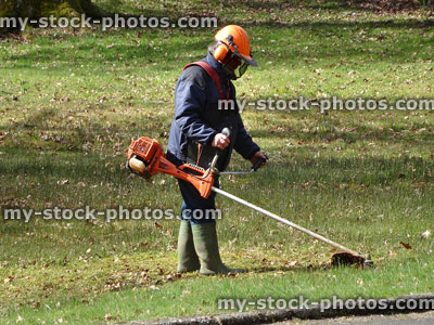 Stock image of landscape gardener strimming lawn grass / weeds in park