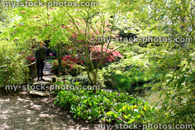 Stock image of boy walking along stepping stones forming garden pathway