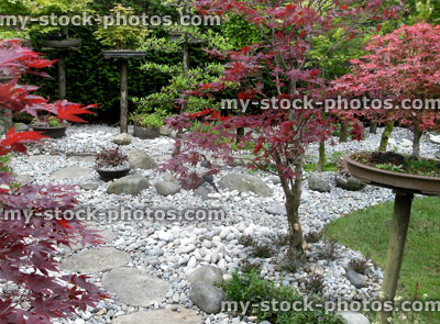 Stock image of oriental garden with red Japanese maples, pebbles, stepping stones