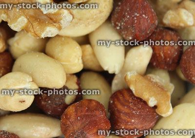 Stock image of mixed nuts / health benefits, almonds, cashews, hazelnuts and walnuts