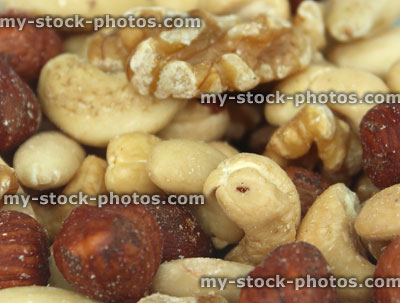 Stock image of healthy mixed nuts, almonds, cashews, hazelnuts, walnuts, fibre