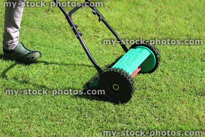 Stock image of gardener mowing lawn with push lawnmower, cylinder mower