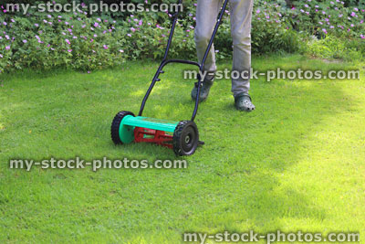 Stock image of gardener mowing lawn with push lawnmower, cylinder mower