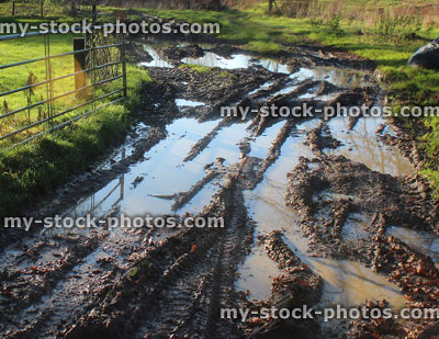 Stock image of muddy country lane / road / track, puddles next to farm field
