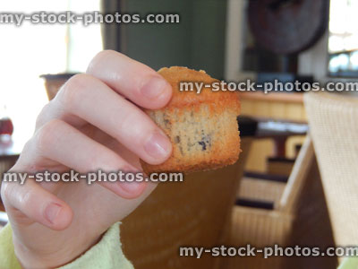 Stock image of girl eating a freshly baked muffin cupcake, holding cake, hand
