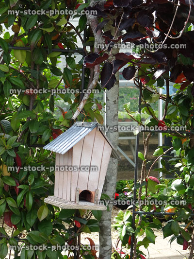 Stock image of wooden birdhouse / nest box hanging in garden tree