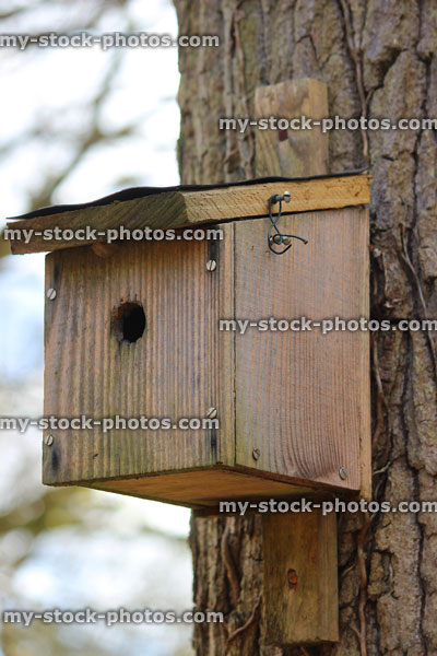 Stock image of small blue tit nestbox with 25mm entrance hole