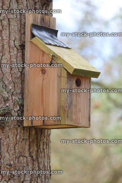 Stock image of nestbox fixed high on tree trunk, away from predators
