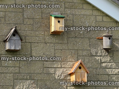 Stock image of wooden bird boxes / nestboxes on side of house