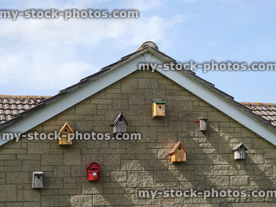 Stock image of assortment of next boxes on side of house
