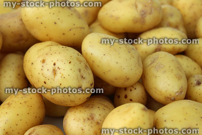 Stock image of new potatoes in pile, washed and scrubbed Jersey Royals