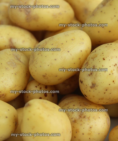 Stock image of new salad potatoes in pile, washed and scrubbed