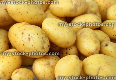 Stock image of small, clean, waxy new potatoes, potato skins scrubbed