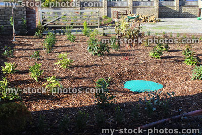 Stock image of landscaped garden with shrubs, flowers, bark mulch oil tank cover