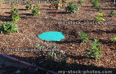 Stock image of landscaped garden with shrubs, flowers, bark mulch oil tank cover