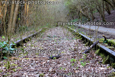 Stock image of disused railway line overgrown with weeds