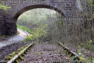 Stock image of bridge over disused railway line overgrown with weeds 