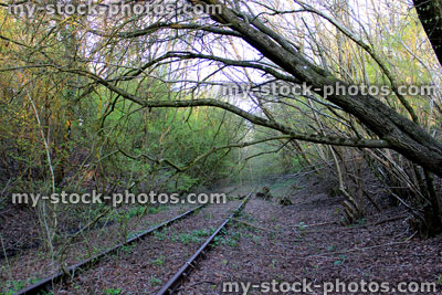 Stock image of disused railway line overgrown with weeds