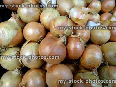 Stock image of freshly dug white onions background image, supermarket, fruit / vegetable shop, greengrocer