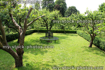 Stock image of small orchard with apple trees, metal tree seat