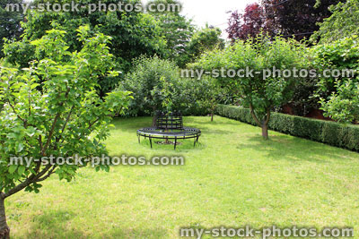 Stock image of small orchard with apple trees, metal tree seat