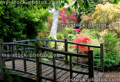 Stock image of wooden oriental bridge over stream in landscaped Japanese garden