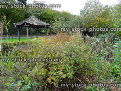 Stock image of overgrown garden pond / trellis fence, oriental wooden pavilion