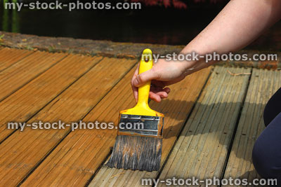 Stock image of garden decking being painted / stained, wood preserver varnish